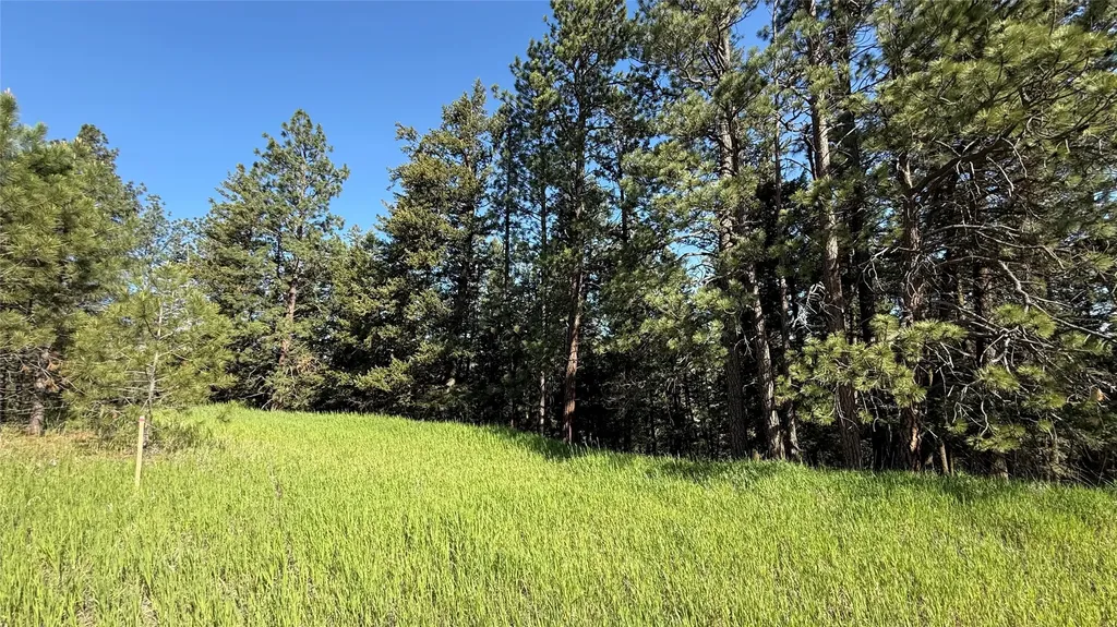 1052 Pheasant Ridge Drive Kalispell MT 59901
