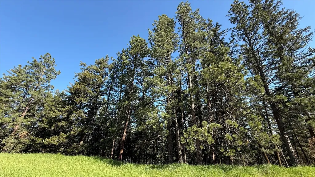 1052 Pheasant Ridge Drive Kalispell MT 59901