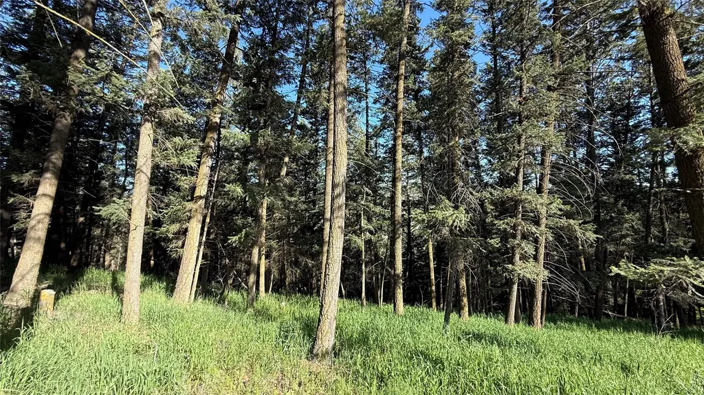 1052 Pheasant Ridge Drive Kalispell MT 59901