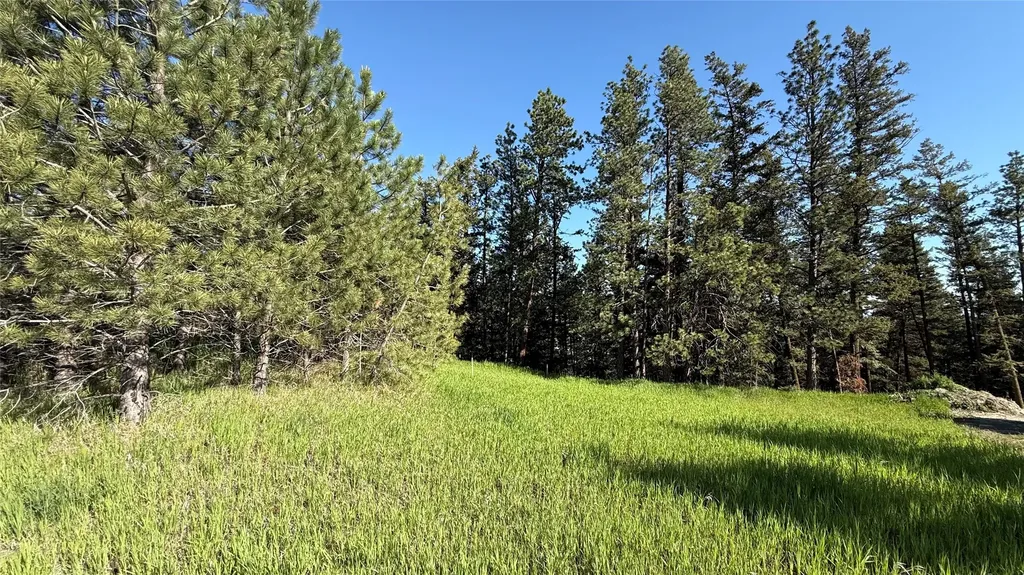 1052 Pheasant Ridge Drive Kalispell MT 59901