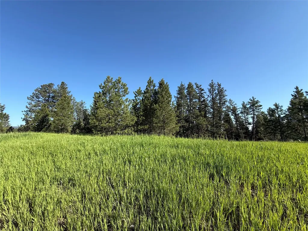 1052 Pheasant Ridge Drive Kalispell MT 59901