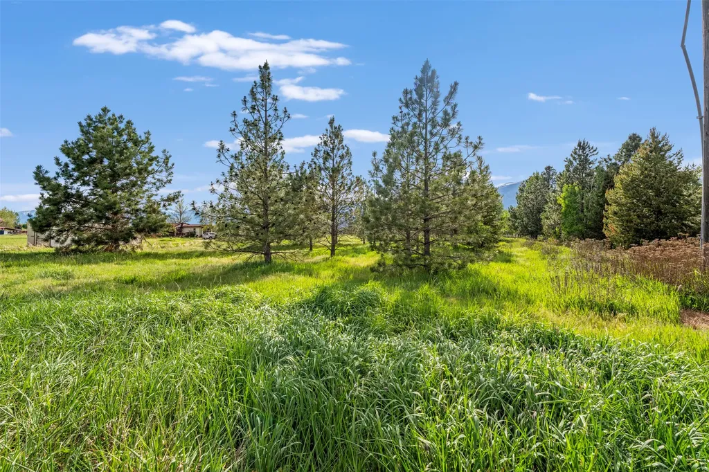 170 Landen Lane Stevensville MT 59870