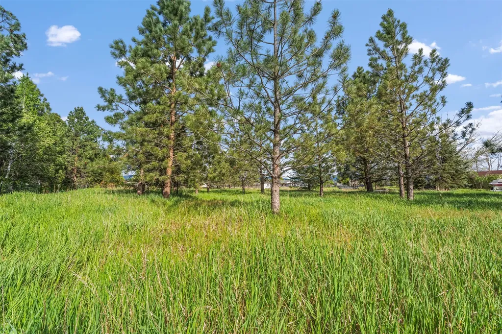 170 Landen Lane Stevensville MT 59870