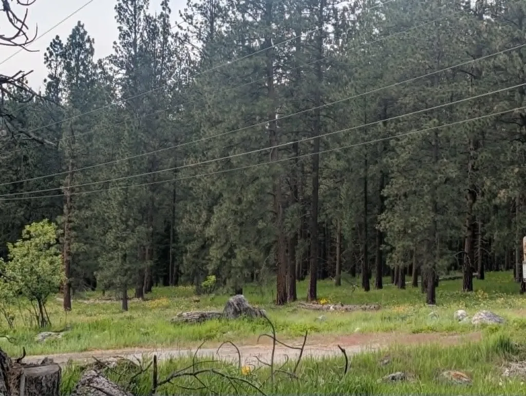 420 N Jefferson Street Thompson Falls MT 59873