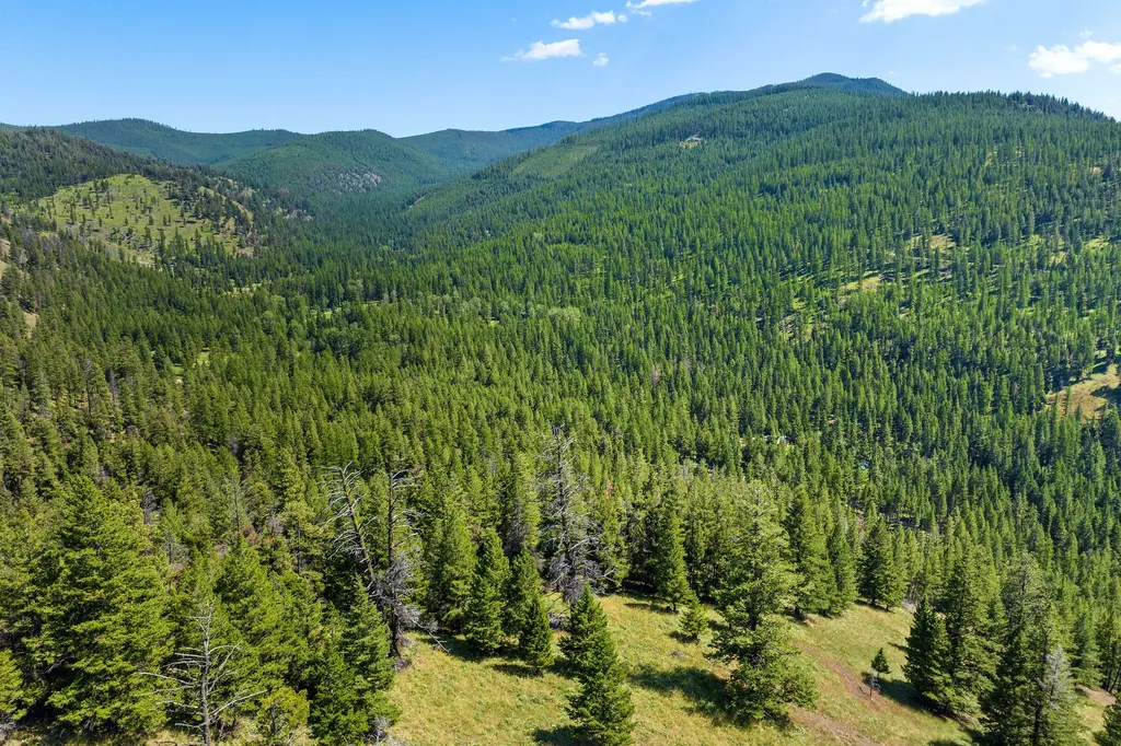 1805 Emmons Canyon Road Kila MT 59920