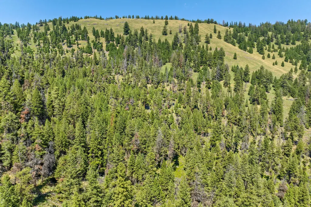 1805 Emmons Canyon Road Kila MT 59920