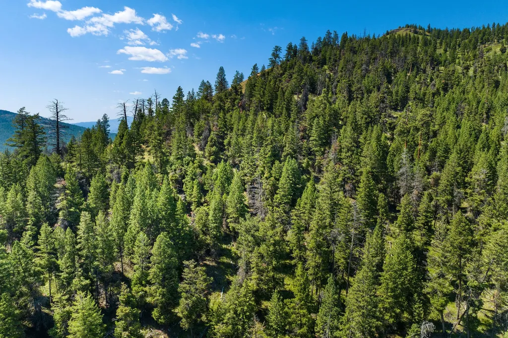 1805 Emmons Canyon Road Kila MT 59920