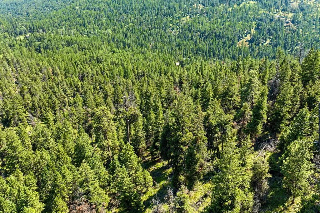 1805 Emmons Canyon Road Kila MT 59920