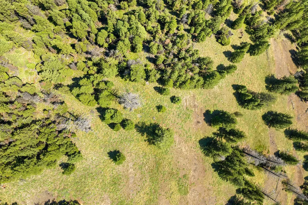 1805 Emmons Canyon Road Kila MT 59920