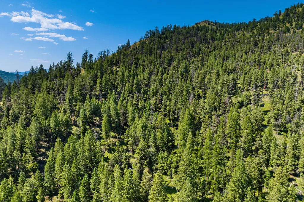1805 Emmons Canyon Road Kila MT 59920