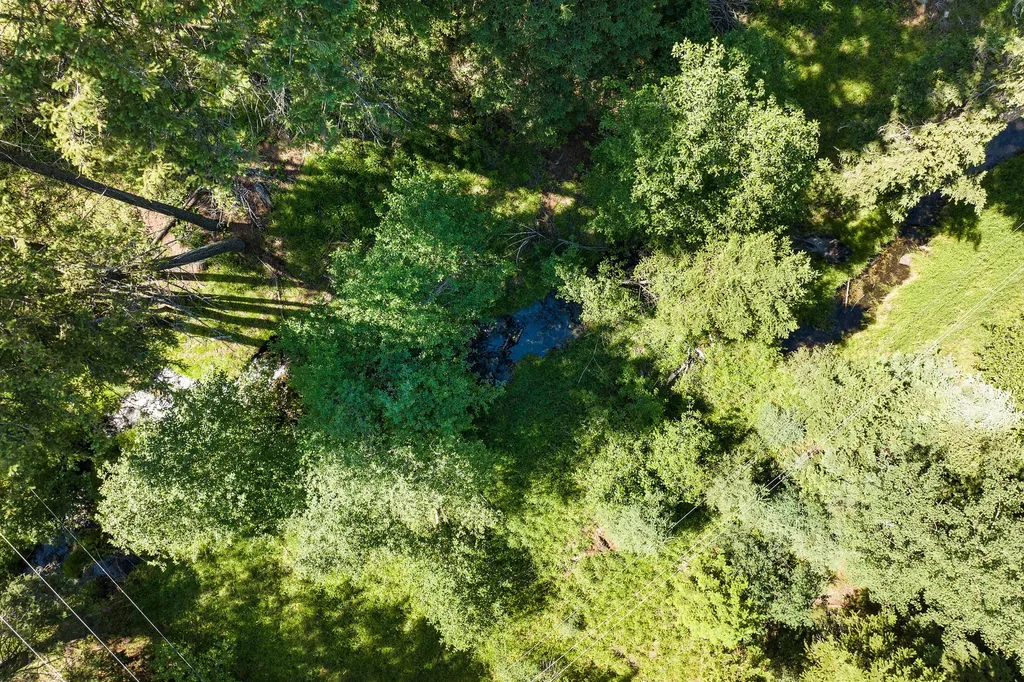 1805 Emmons Canyon Road Kila MT 59920