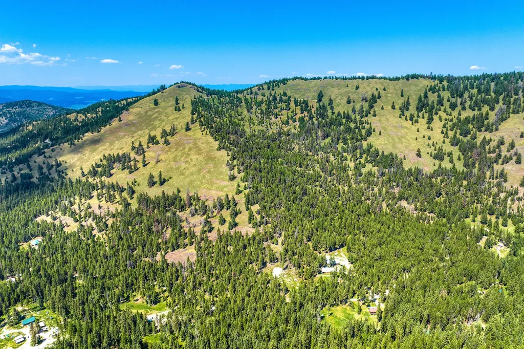 1805 Emmons Canyon Road Kila MT 59920
