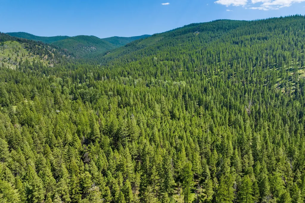 1805 Emmons Canyon Road Kila MT 59920