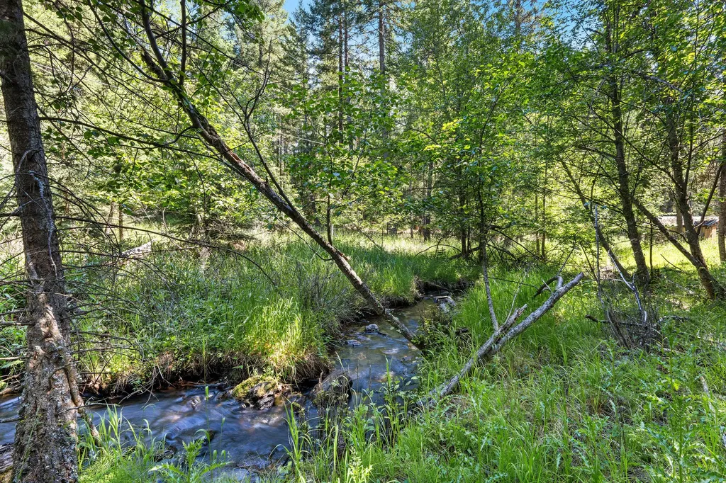 1805 Emmons Canyon Road Kila MT 59920