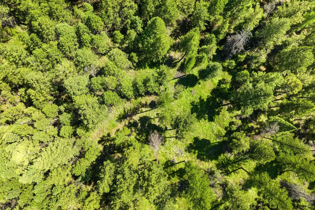 1805 Emmons Canyon Road Kila MT 59920