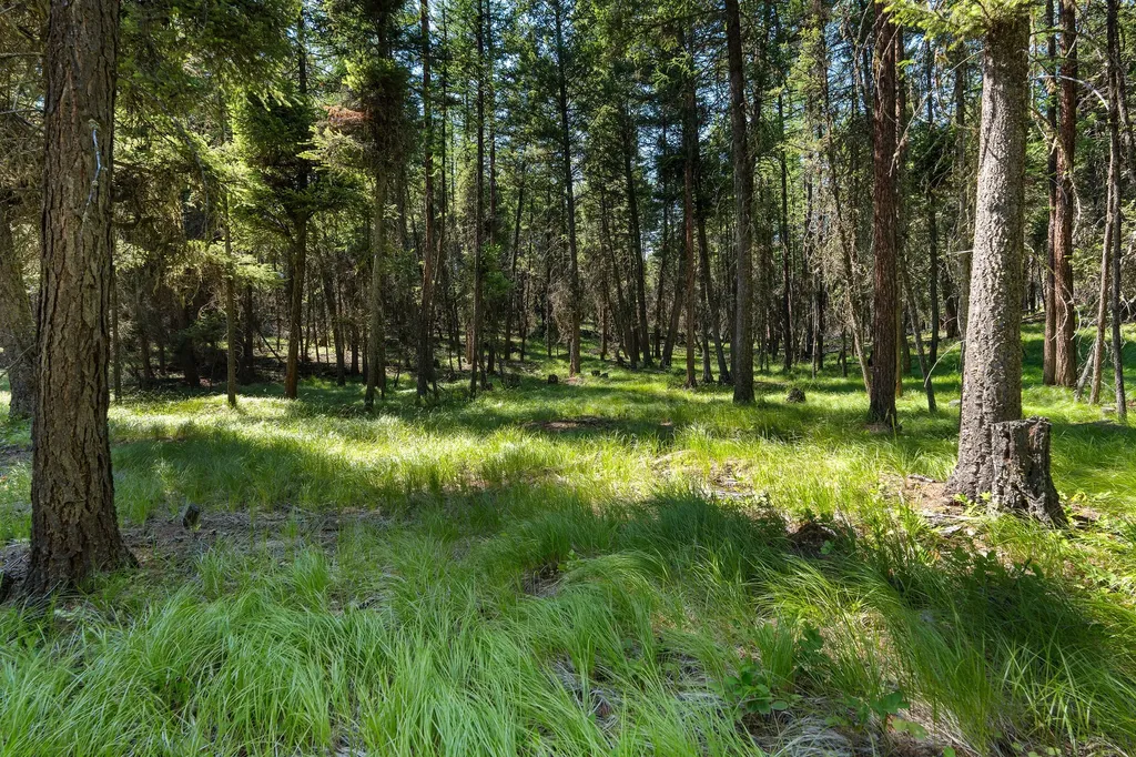 1805 Emmons Canyon Road Kila MT 59920