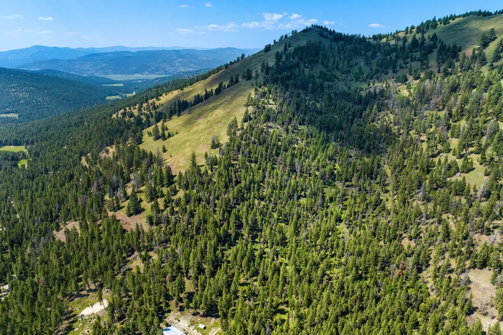 1805 Emmons Canyon Road Kila MT 59920