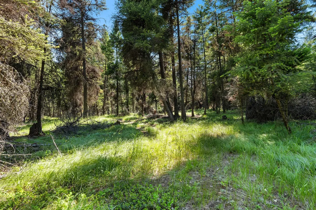 1805 Emmons Canyon Road Kila MT 59920