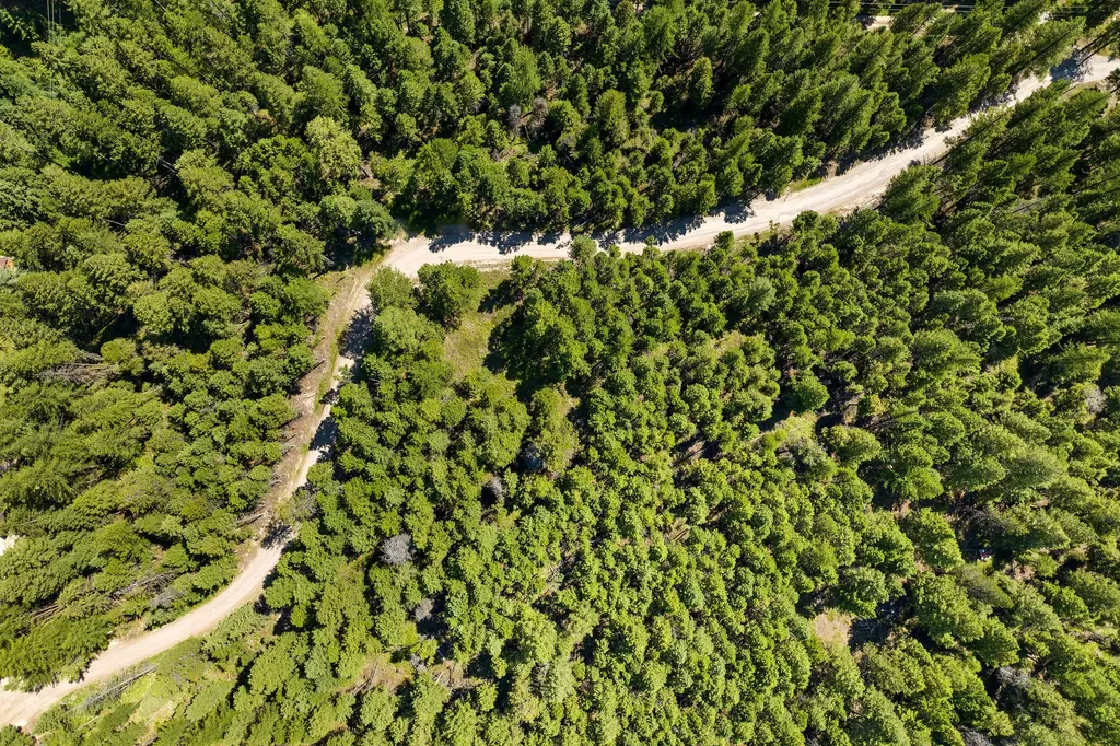 1805 Emmons Canyon Road Kila MT 59920