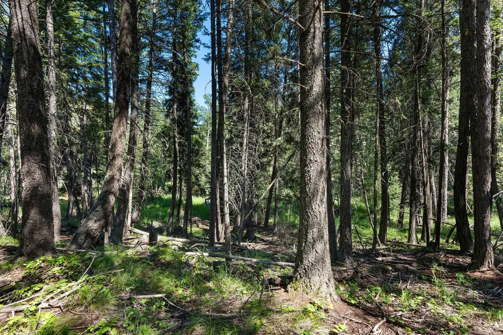 1805 Emmons Canyon Road Kila MT 59920