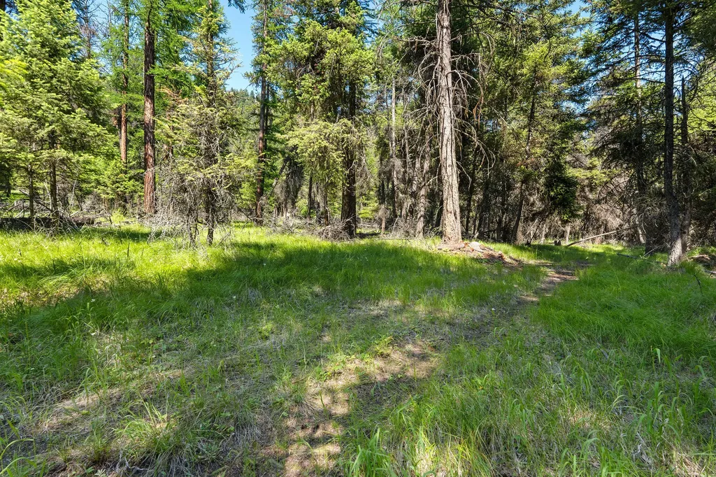 1805 Emmons Canyon Road Kila MT 59920