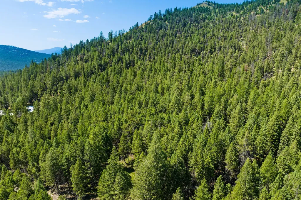 1805 Emmons Canyon Road Kila MT 59920