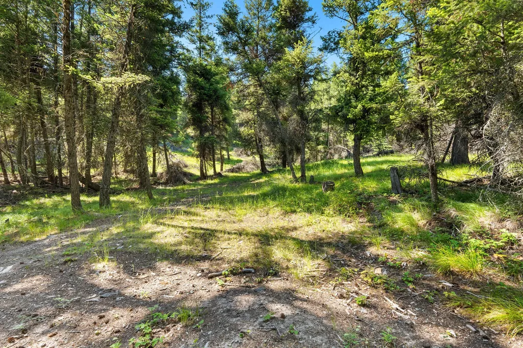 1805 Emmons Canyon Road Kila MT 59920