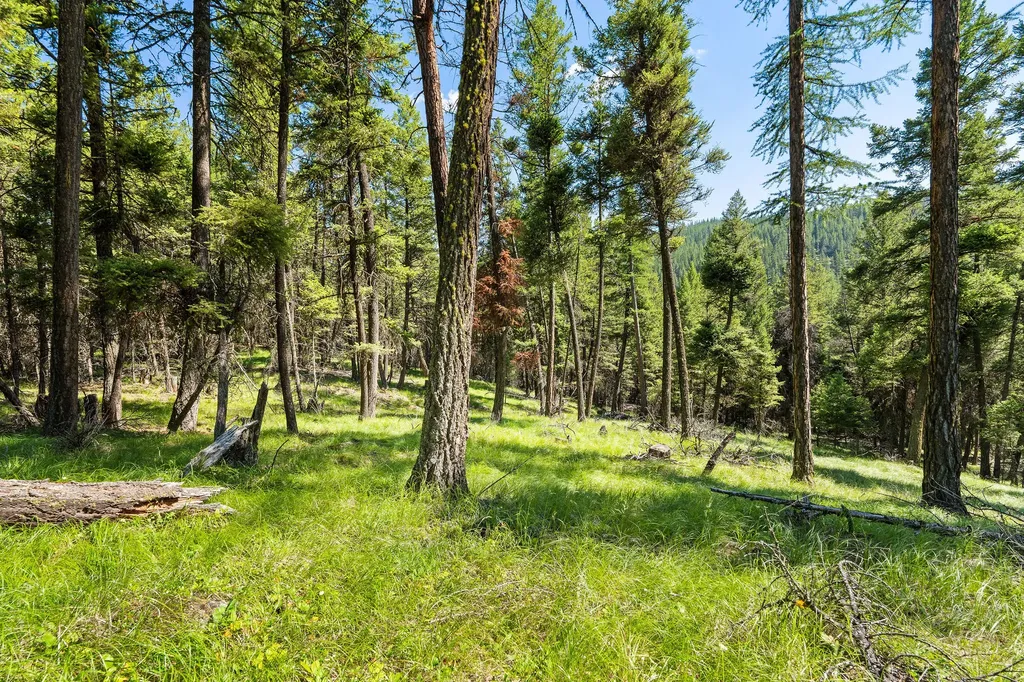 1805 Emmons Canyon Road Kila MT 59920
