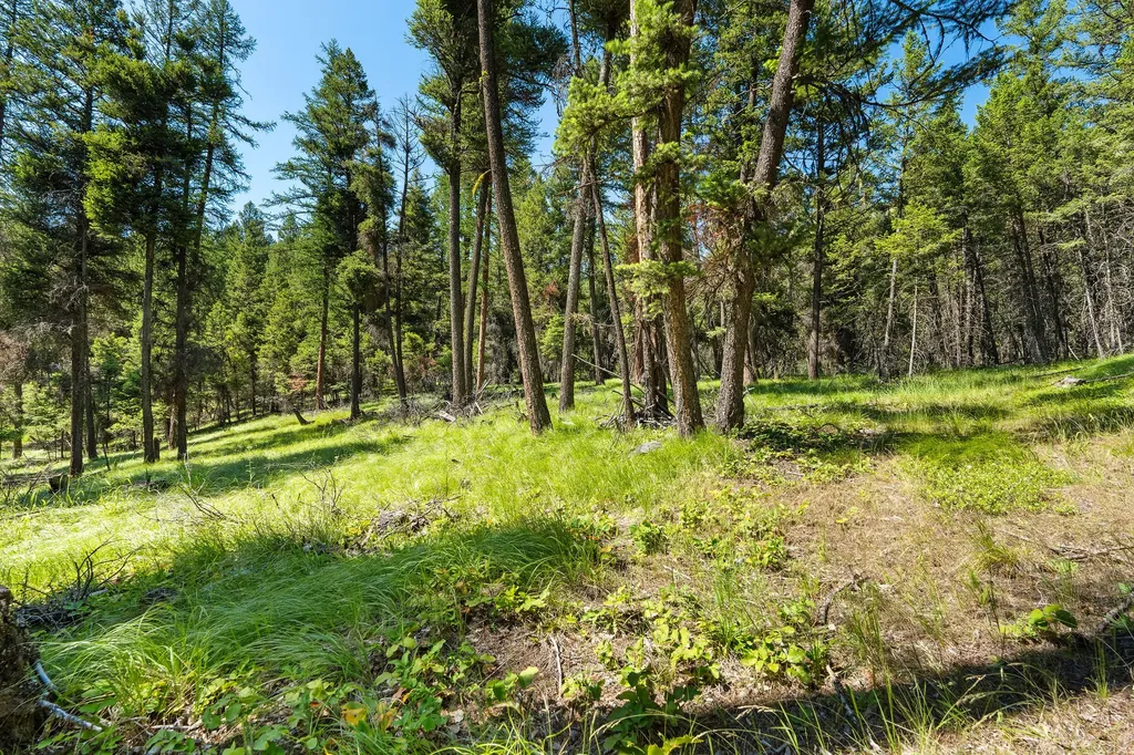 1805 Emmons Canyon Road Kila MT 59920