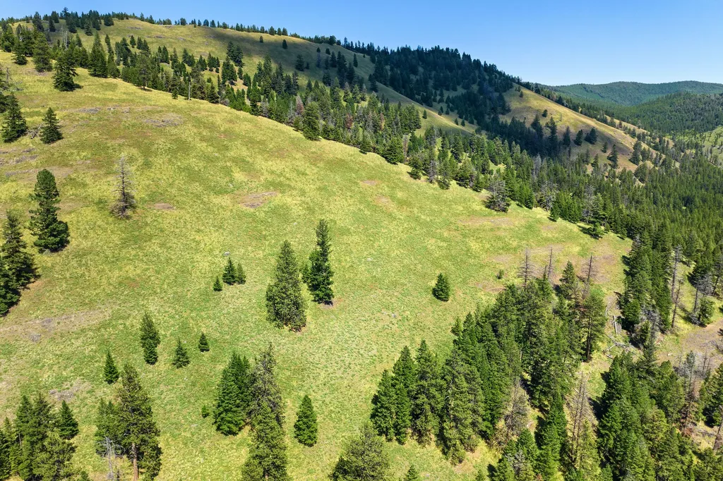 1805 Emmons Canyon Road Kila MT 59920