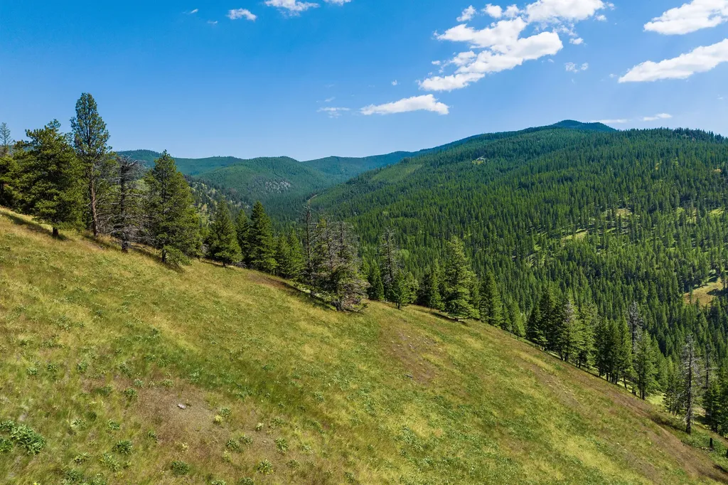 1805 Emmons Canyon Road Kila MT 59920
