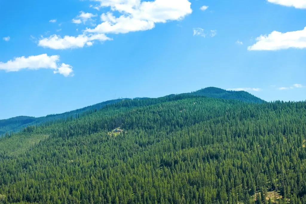1805 Emmons Canyon Road Kila MT 59920