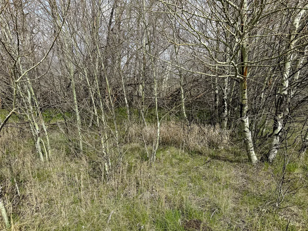 7615 Highway 2 Butte MT 59701