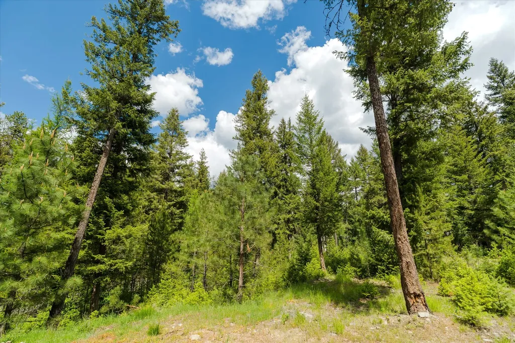 201 Wapiti Way Troy MT 59935