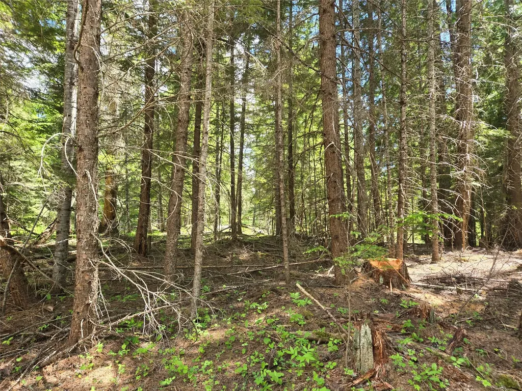 Lot A-4 Elk Heights Lane Heron MT 59844