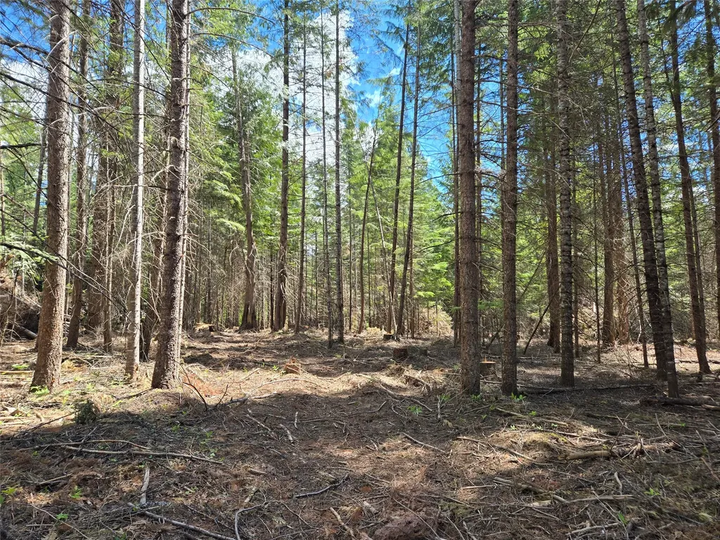 Lot A-4 Elk Heights Lane Heron MT 59844