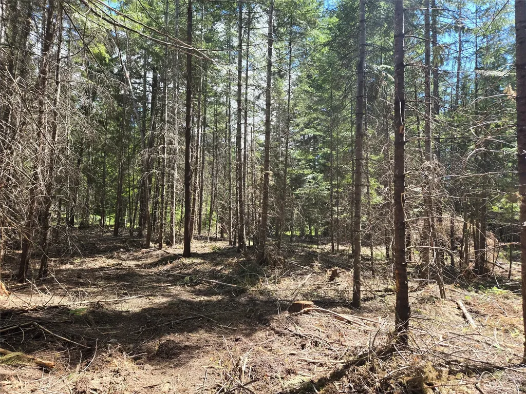 Lot A-4 Elk Heights Lane Heron MT 59844