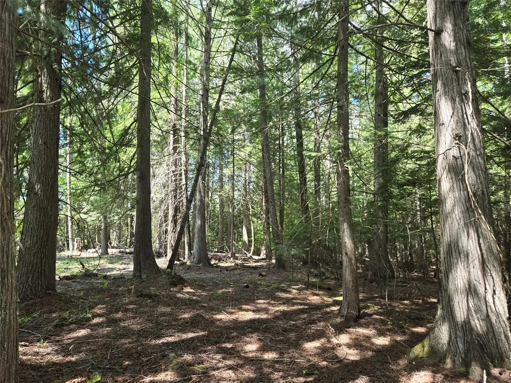 Lot A-1 Elk Heights Lane Heron MT 59844