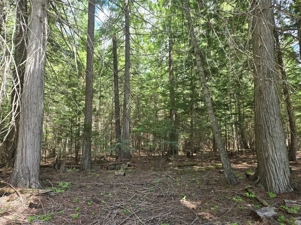 Lot A-1 Elk Heights Lane Heron MT 59844