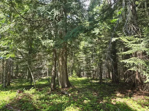 Lot A-1 Elk Heights Lane Heron MT 59844