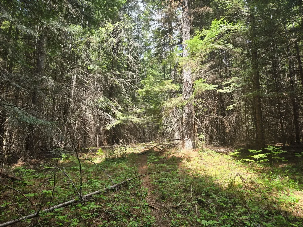 Lot A-2 Elk Heights Lane Heron MT 59844