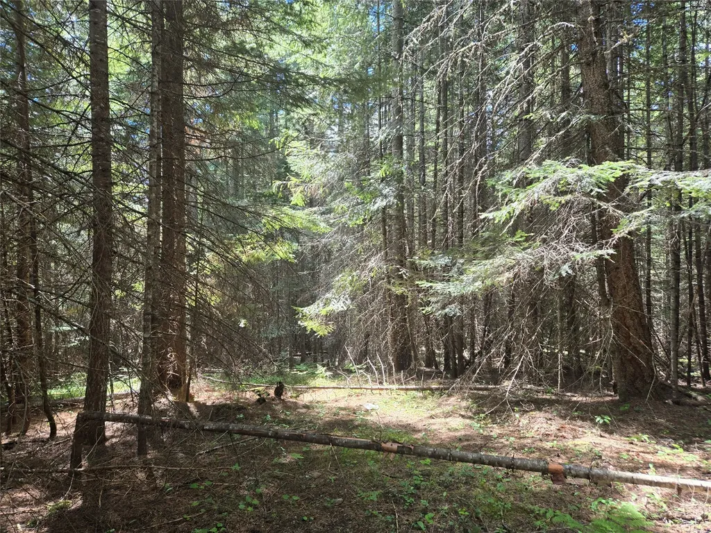 Lot A-2 Elk Heights Lane Heron MT 59844