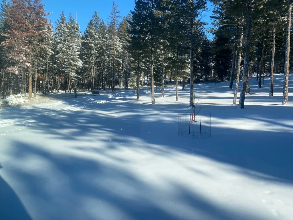 400 Buffalo Trail Somers MT 59932