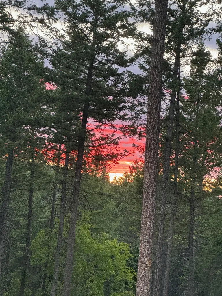 400 Buffalo Trail Somers MT 59932