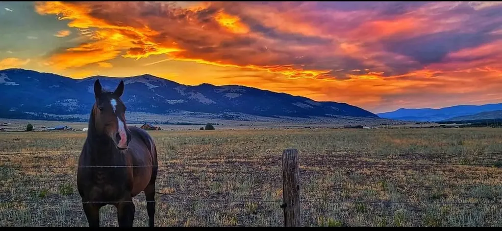 2733 Mt Highway 69 Boulder MT 59632