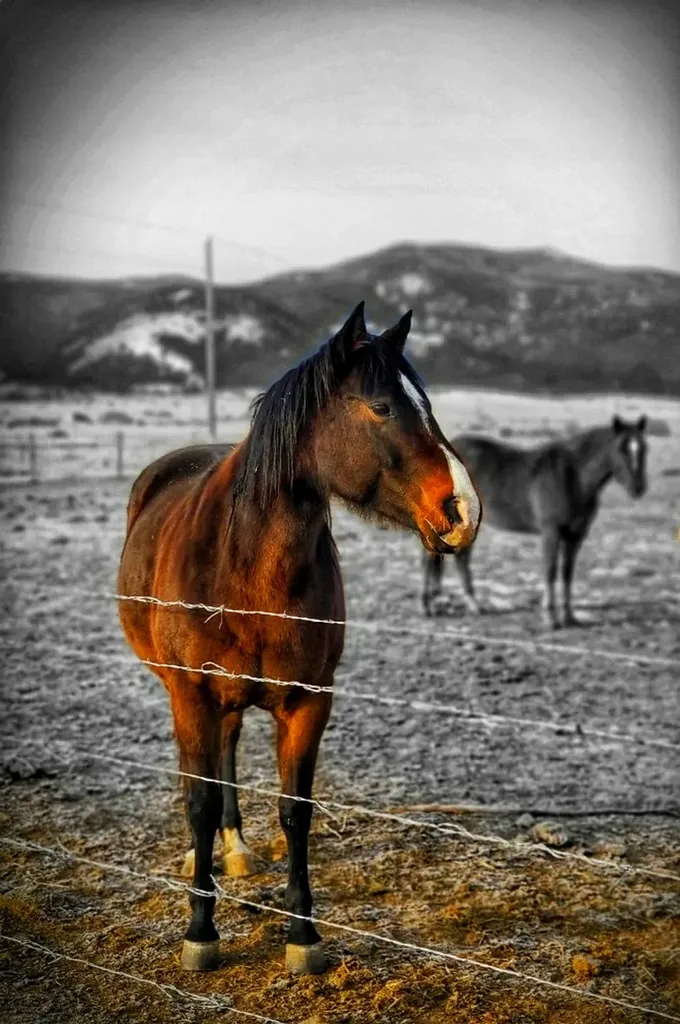 2733 Mt Highway 69 Boulder MT 59632