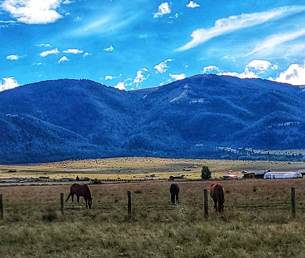 2733 Mt Highway 69 Boulder MT 59632
