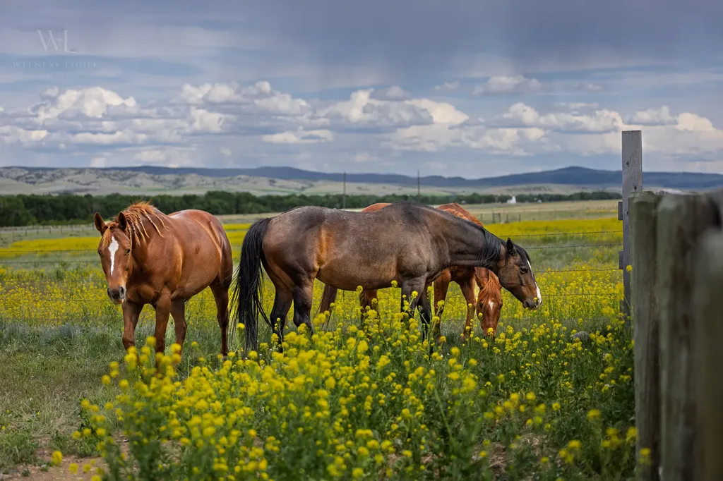 2733 Mt Highway 69 Boulder MT 59632