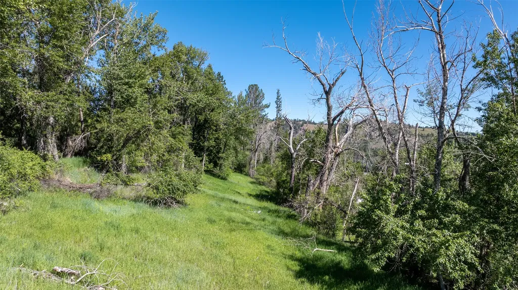12326 Nature Court Lolo MT 59847