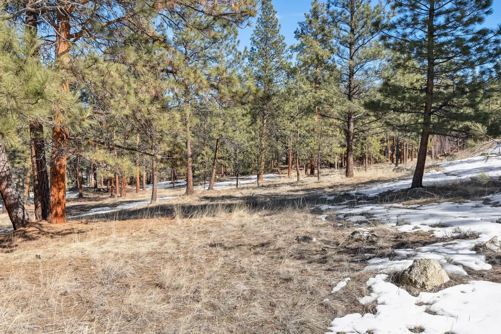 1437 Stock Farm Road Hamilton MT 59840